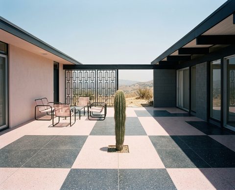 Courtyard with cactus