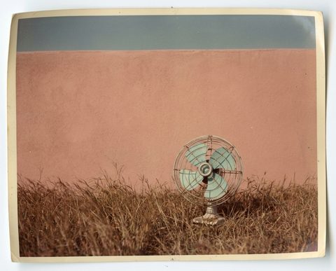 Fan in tall grass